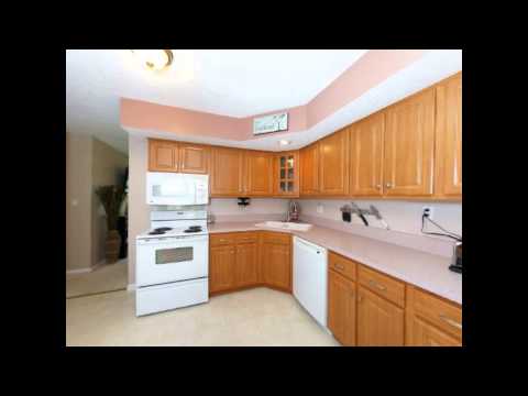 50 Bonniebrook Rd, Chatham, IL home video tour