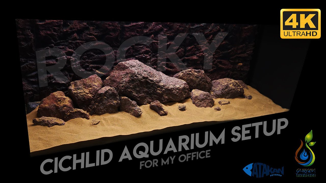 Kayalık Ciklet Akvaryumu Kurulumu | Ofise 575 Litre Dev Tasarım | Kurulum Teknikleri - Canlı Anlatım