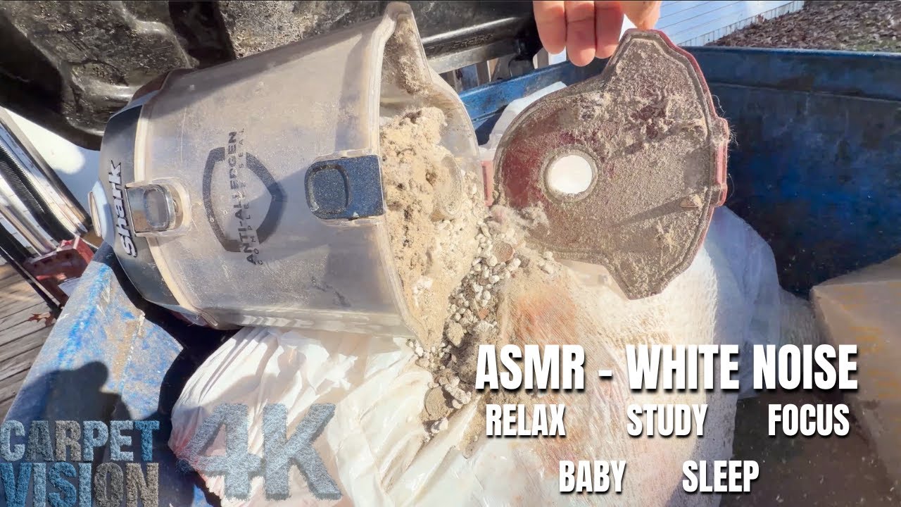 Carpet Cleaning ASMR | I Rebuke You… Deep Soil 🤯 (Sleep Now)