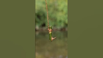 Making survival fishing line and hook with natural materials