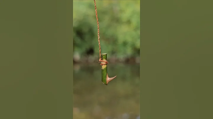 Making survival fishing line and hook with natural materials