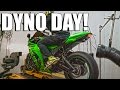 DYNO DAY! - Dyno The ZX10r!