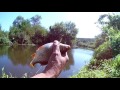 Самый лучший день! Рыбалка на реке Уды. Сазан, карась, плотва и густера.
