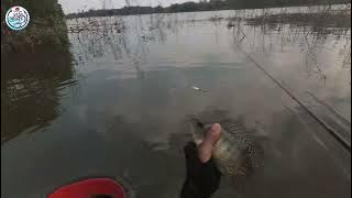 PERDANA NGONTEN! MANCING NYOBOK DI WADUK PONDOK NGAWI