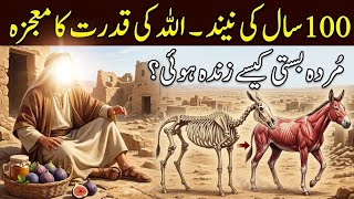 100 Saal Ki Neend || Allah Ki Qudrat Ka Mojiza || Hazrat Uzair (A.S.) #shuoorvision #islamicstory 