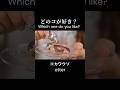 【ASMR】チューブから出てくるのはまさかの生き物?不思議でかわいいマジックチューブ(ラッコ・ウーパールーパー・カワウソ・アザラシ・オルカ|イヤホン推奨🎧