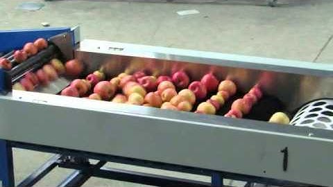 apple sorting machine ,apple grading machine