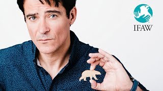 Goran Visnjic - One Act for All