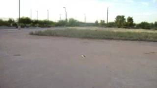 Trex 450 first hover Oct. 4, 2008
