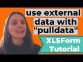 Extract and access external data using "Pulldata" in XLSForm, Kobo Toolbox, and ODK