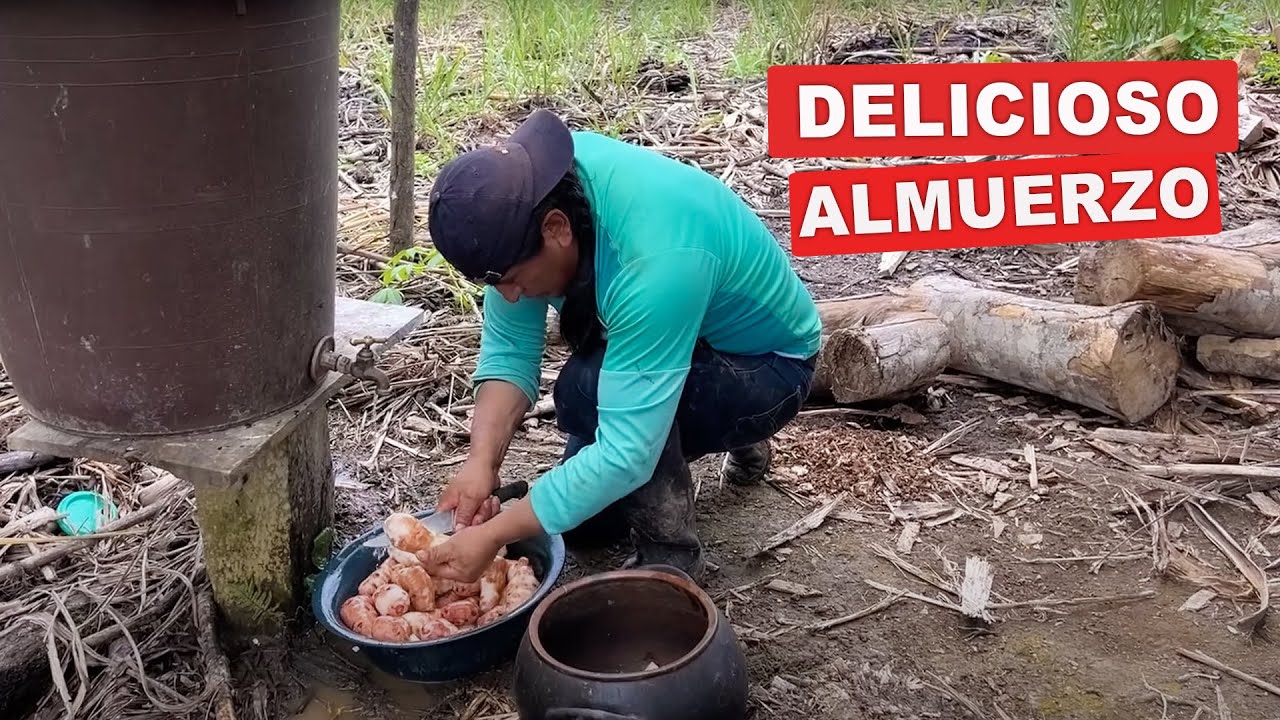 Así cocino los sangos negros para mi almuerzo