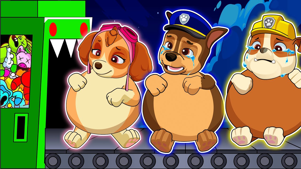 What Happened...CHASE, SKYE is Big Belly? Funny Life Story | PAW Patrol Ultimate Rescue | Rainbow 3