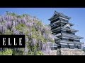 The Wisteria Flower Tunnel in Japan Is the Most Magical Place Ever | ELLE