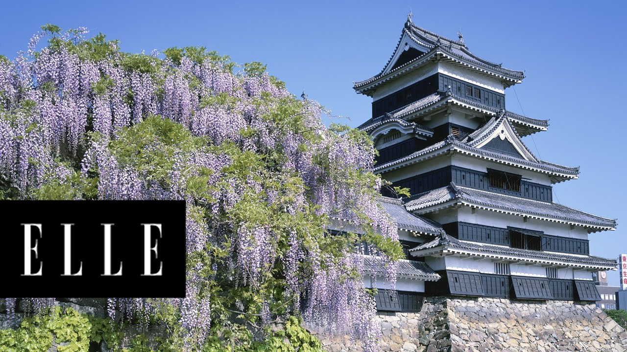 The Wisteria Flower Tunnel in Japan Is the Most Magical Place Ever | ELLE