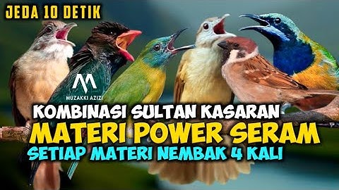 MASTERAN KOMBINASI KASAR || KINOI CUNGKOK TENGKEK BUTO CUCAK JENGGOT KAPAS TEMBAK GEREJA TARUNG
