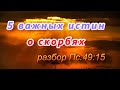 302. 5 важных истин о скорбях, исходя из Пс.49:15