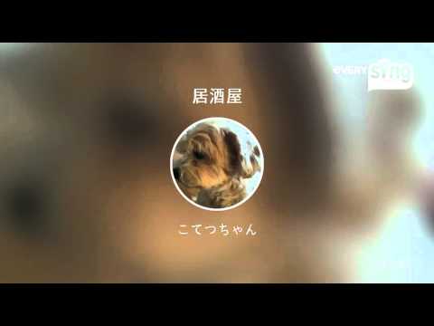 [everysing] 居酒屋
