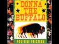 Donna The Buffalo - Positive Friction