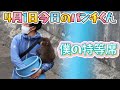 【最新4月1日（水）】今日のパンチくんをお届けします2026.4.1 市川市動植物園 Punch the monkey