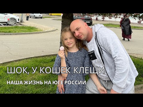 Видео: Семейный VLOG- видео 14. у кошек нашли клещей