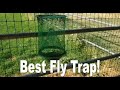 Best Fly Trap!