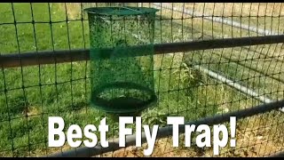 Best Fly Trap!