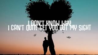 Lasting Lovers Sigalajames A