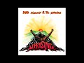 Bob Marley Forever Loving Jah 432hz mp3