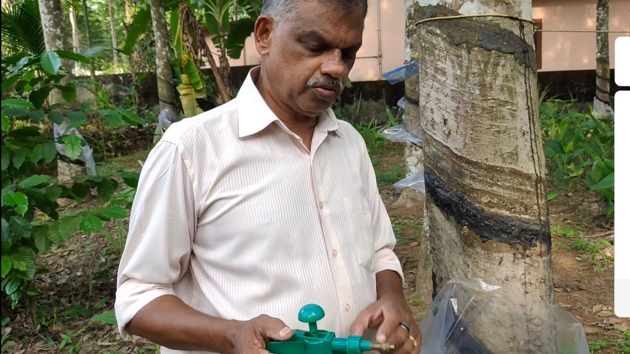 (part 13) പുതുപ്പട്ടയിൽ ലാഭാകരമായി ആദയം ലഭിക്കണോ? ഇത്രയും ചെയ്താൽ മതി