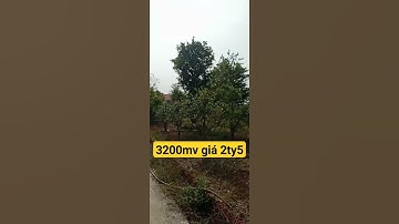 Bình giã châu đức brvt #bds #dat #nhadat