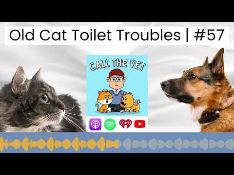 Old Cat Toilet Troubles | #57