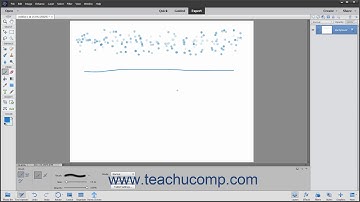 Photoshop Elements 2021 Tutorial Resetting Brush and Tool Settings Adobe Training