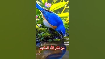 من القرآن الكريم #jumagreenscreen #challenge #اكسبلور #دويتو #لايك #الورقات #حالات_واتس