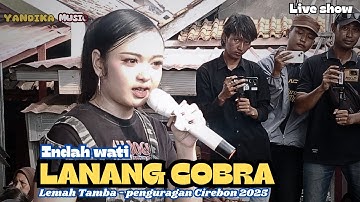 Lanang cobra || indah wati || lemahtamba Panguragan Cirebon 2025