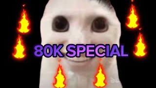 Goofyahcat 80K special