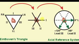 E C G , Part 1 , MEDICINE LECTURES cardiology lectures