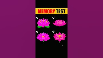 Memory Test : Guess The Correct One ! | Memory Puzzles and Riddles | #shorts #viral #paheliyan