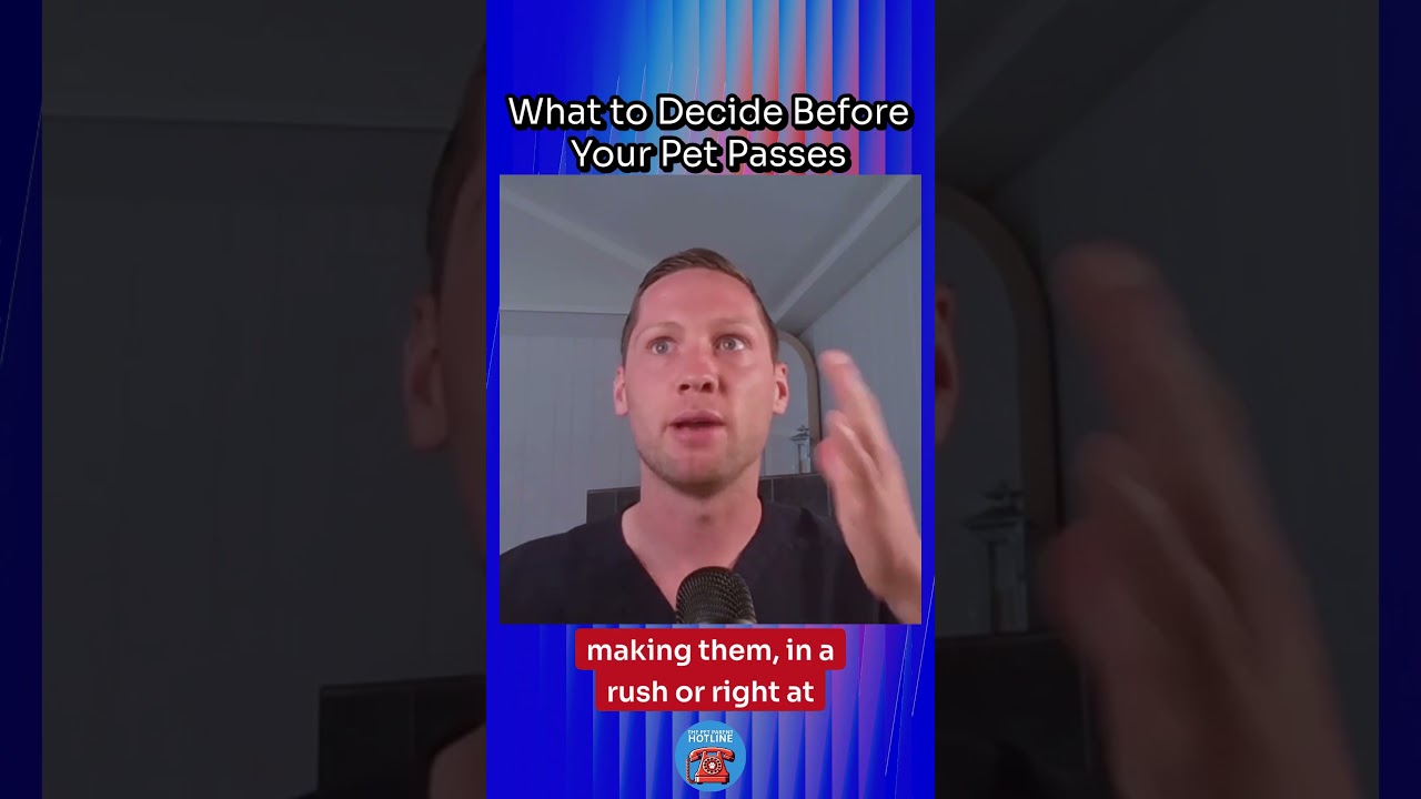Decide This Before Your Pet Passes Decide This Before Your Pet Passes