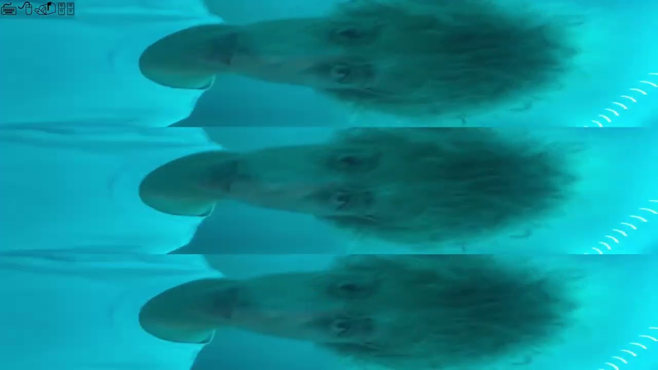 gfvn - 2mg - instrumental