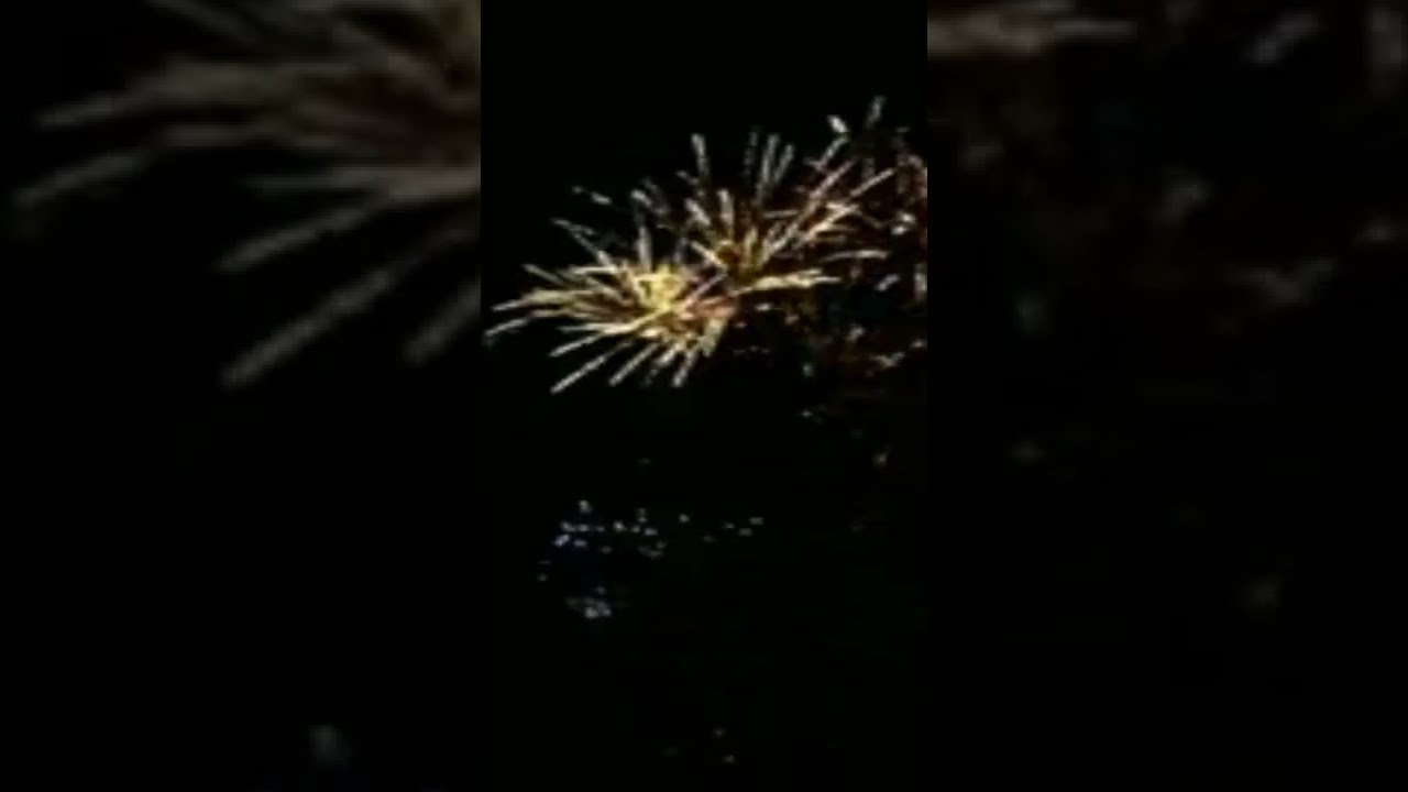 Beautiful sparkling fireworks exploding on dark sky