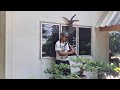 ヨルシカ (Yorushika) - 啄木鳥 (Woodpecker) | Cover