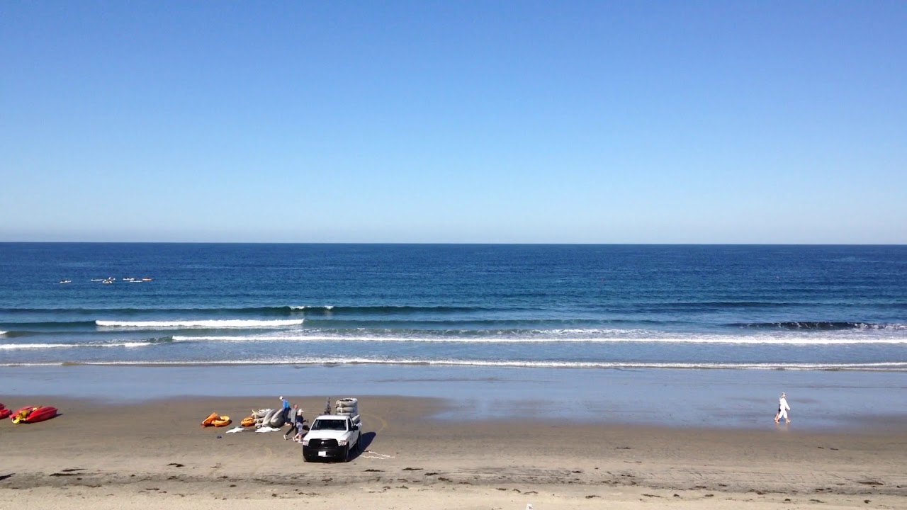 Beach view - La Jolla Shores Hotel