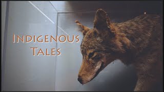 Indigenous Tales with Alicia M. Retes