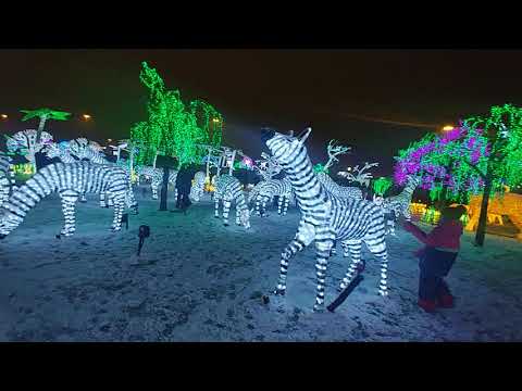 montreal-le-plus-beau-spectacle-de-lumiere-au-monde!!!!!-:-part-1