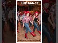 Learn This Line Dance Step in 10 Seconds!