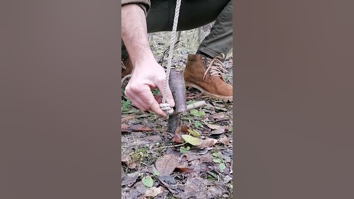 trap #bushcraft #trap #survival  #outdoors