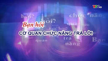 Đảm bảo an toàn vệ sinh thực phẩm dịp Tết Nguyên đán và lễ hội đầu Xuân