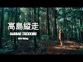 【高島縱走】 不輸國外的森林療癒步道，穿梭在整片柳杉林裡 GAODAO TREKKING SOLO Hiking ft. Yaya  /台灣小百岳郊山步道Vlog#90 新竹步道