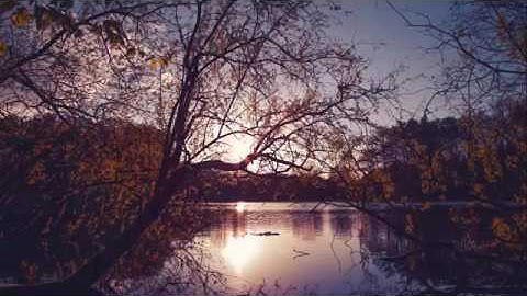 تلاوة هادئه تفيض جمالاً أرح بها قلبك