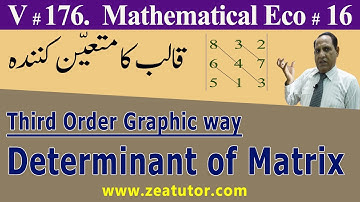 Determinant of Matrix, Graphic Method, Mathematical Economics Lectures in Urdu/Hindi by Sir Zafar